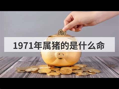 1971年出生|1971年